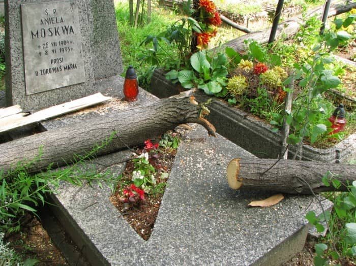 Zabobrze leczy rany po nawałnicy