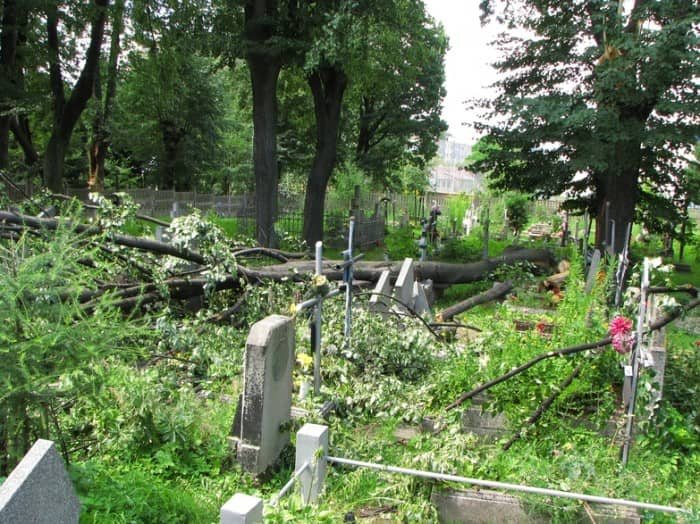 Zabobrze leczy rany po nawałnicy