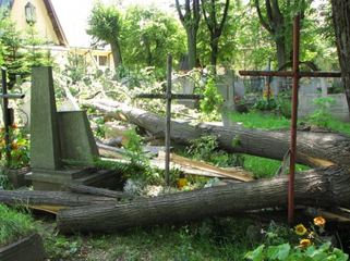 Zabobrze leczy rany po nawałnicy