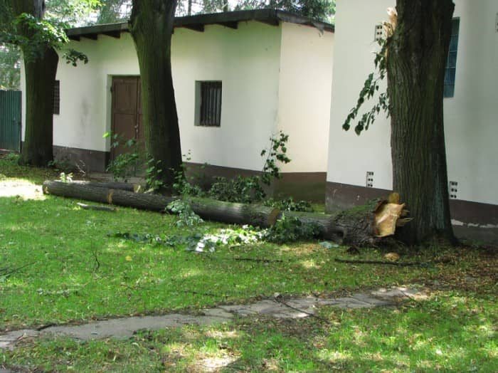 Zabobrze leczy rany po nawałnicy