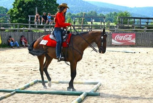 Mistrzostwa Rodeo w Ściegnach
