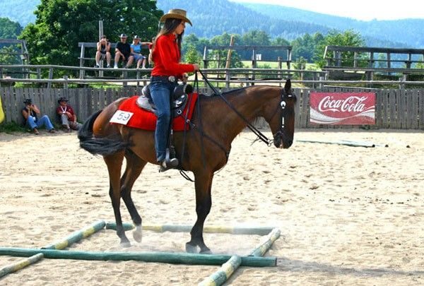 Mistrzostwa Rodeo w Ściegnach