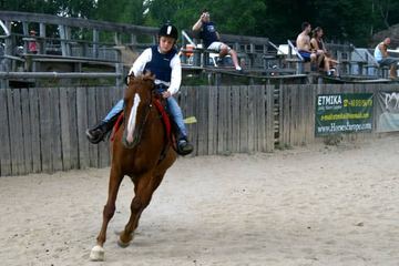Mistrzostwa Rodeo w Ściegnach