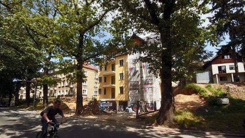 Przy Słowackiego gęściej i… ładniej