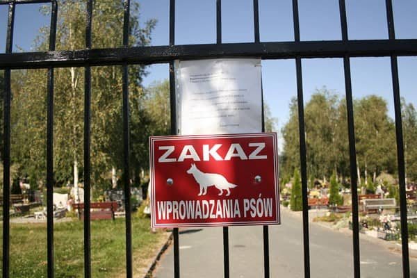 Mogiły wołają o pomstę do nieba