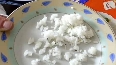 Uważaj co dostajesz na talerzu czyli gastronomia pod lupą