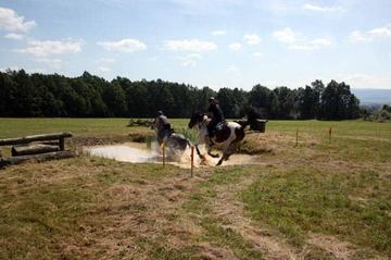 Echa gonitwy chłopskiej