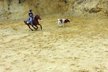 Kolorowa wieś Wieściszowice