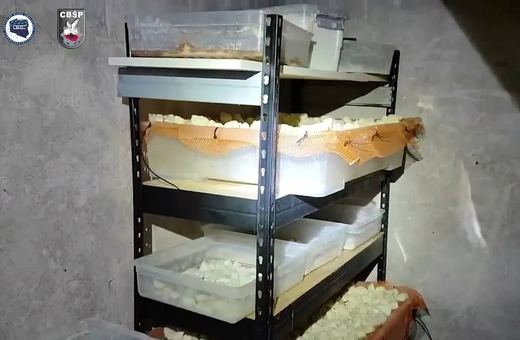 Zlikwidowali fabrykę narkotyków