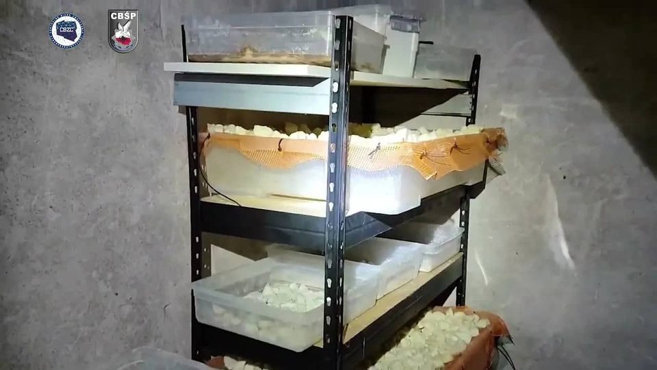 Zlikwidowali fabrykę narkotyków