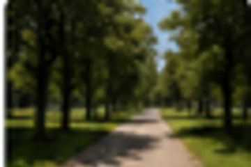 Park na Zdrowiu zyska nowe alejki i oświetlenie