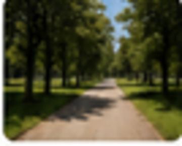 Park na Zdrowiu zyska nowe alejki i oświetlenie