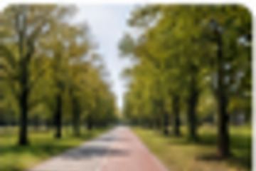 Rowerem do pracy. Miasto dołącza do akcji