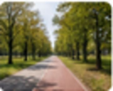 Rowerem do pracy. Miasto dołącza do akcji