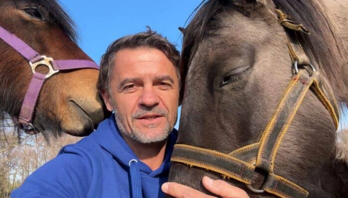 Petycja w obronie koni i osłów przed rzeźnią