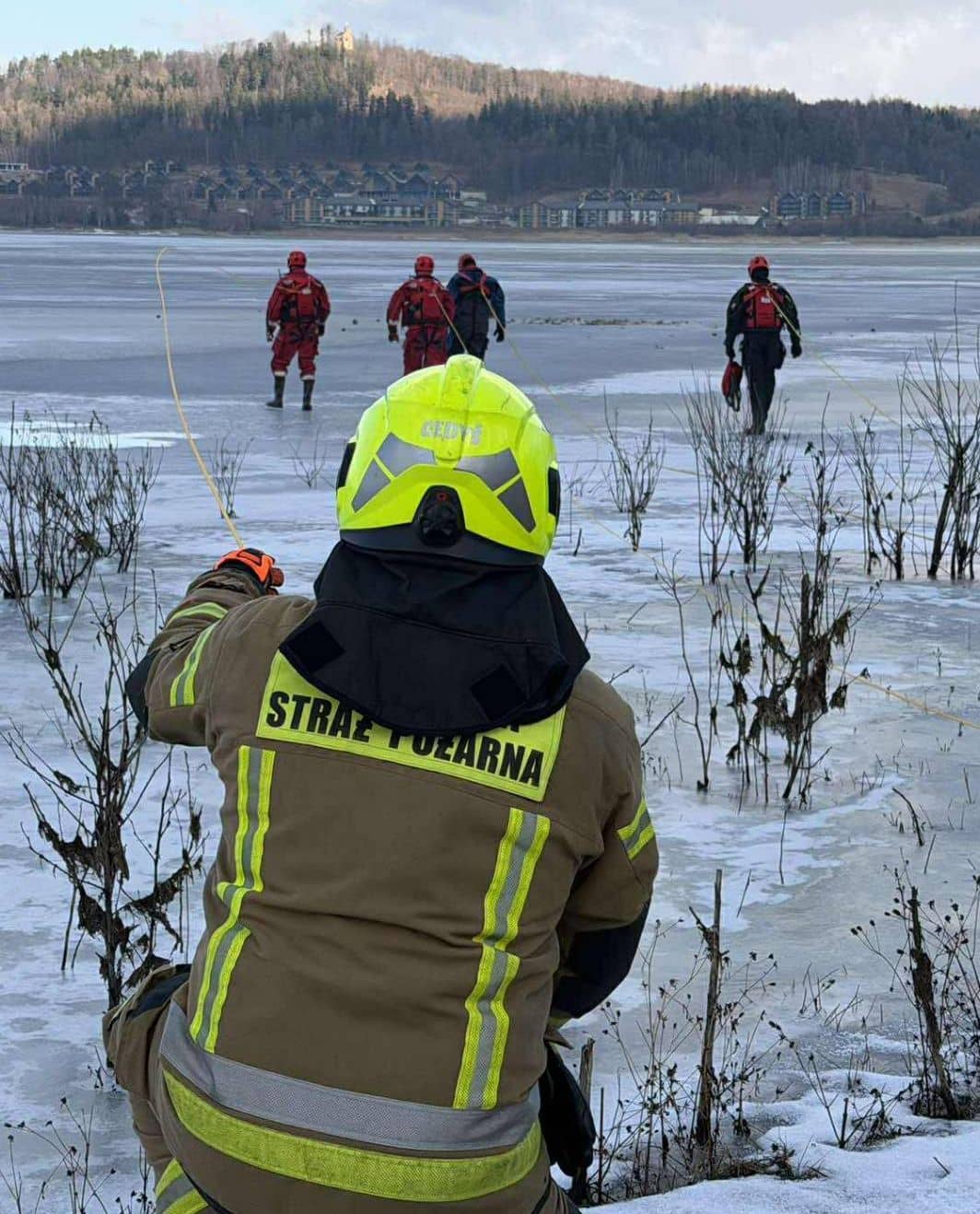 Uratowali z lodu rannego jelenia