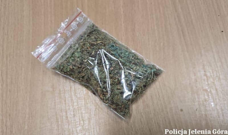 Policjanci znaleźli u niego w domu narkotyki