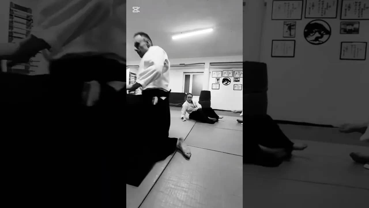 25 lat aikido w Jeleniej Górze