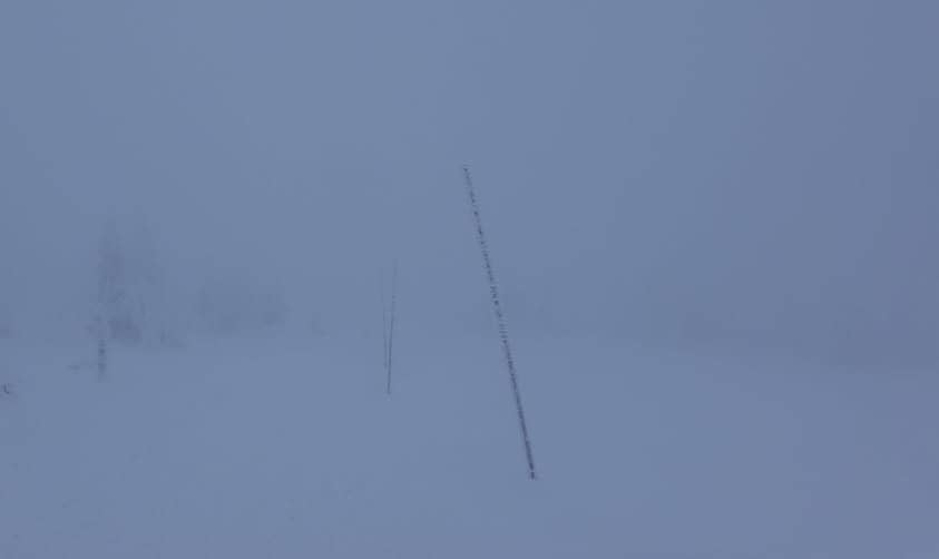 Biel, która zabija orientację w Karkonoszach