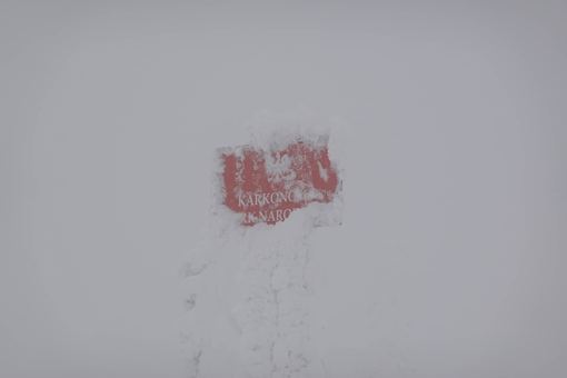 Biel, która zabija orientację w Karkonoszach
