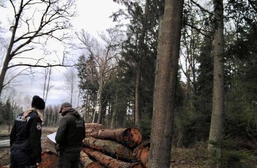 Złodziej wpadł przez fotopułapkę