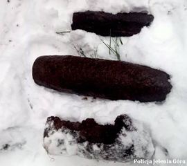 Zakaz wstępu do niebezpiecznego lasu