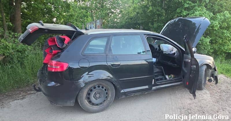 Uciekał przed policją i wylądował na drzewie