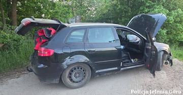 Uciekał przed policją i wylądował na drzewie