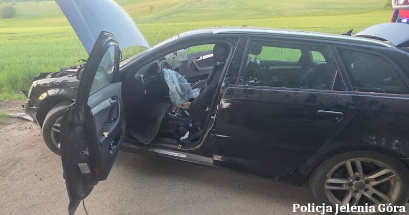 Uciekał przed policją i wylądował na drzewie
