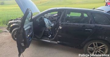 Uciekał przed policją i wylądował na drzewie