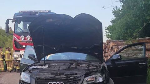 Uciekał przed policją i wylądował na drzewie