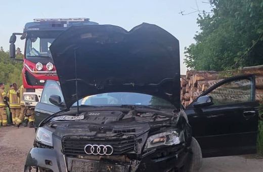 Uciekał przed policją i wylądował na drzewie