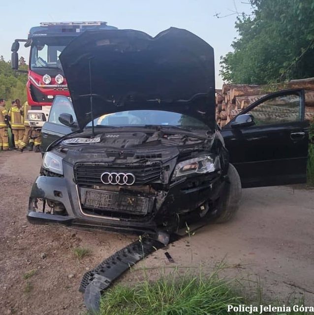 Uciekał przed policją i wylądował na drzewie