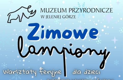 Zimowe lampiony w Muzeum Przyrodniczym
