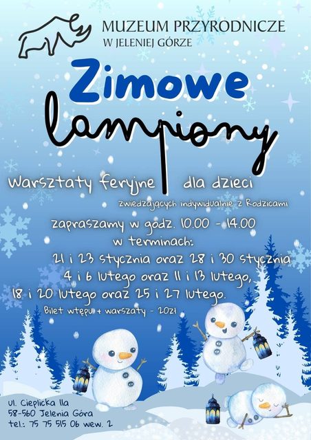 Zimowe lampiony w Muzeum Przyrodniczym