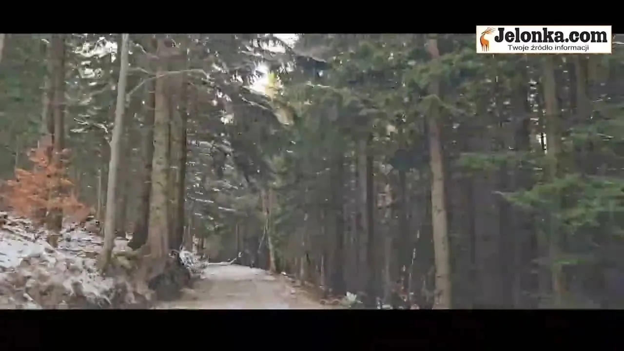 W godzinkę do schroniska "Nad Łomniczką" (film)