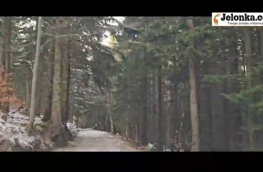 W godzinkę do schroniska "Nad Łomniczką" (film)