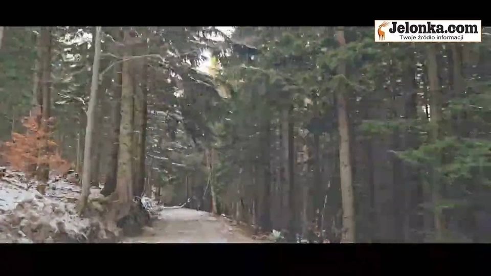 W godzinkę do schroniska "Nad Łomniczką" (film)