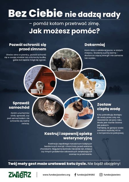 UM Kowary
