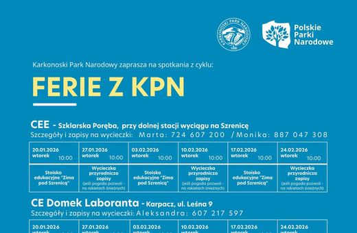 Ferie z KPN