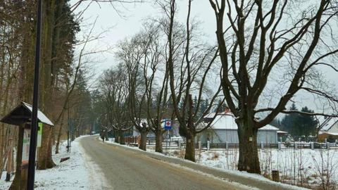 Wytną (już nie) pomniki