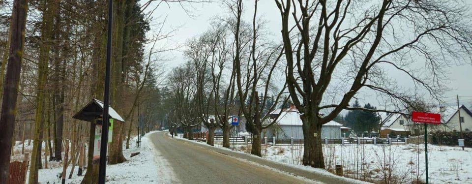 Wytną (już nie) pomniki