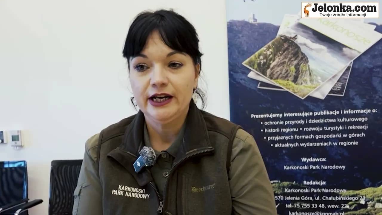 Czy Karkonosze są starsze od dinozaurów?