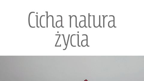 Wystawa fotografii Wojciecha Miatkowskiego