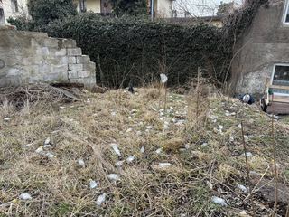 Przejście pustych "małpek"