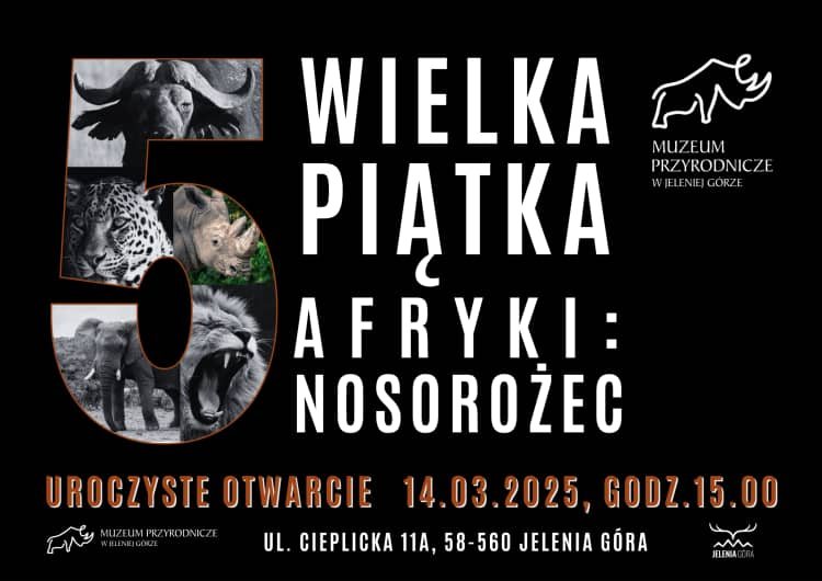 Co będzie się działo w mieście i regionie?