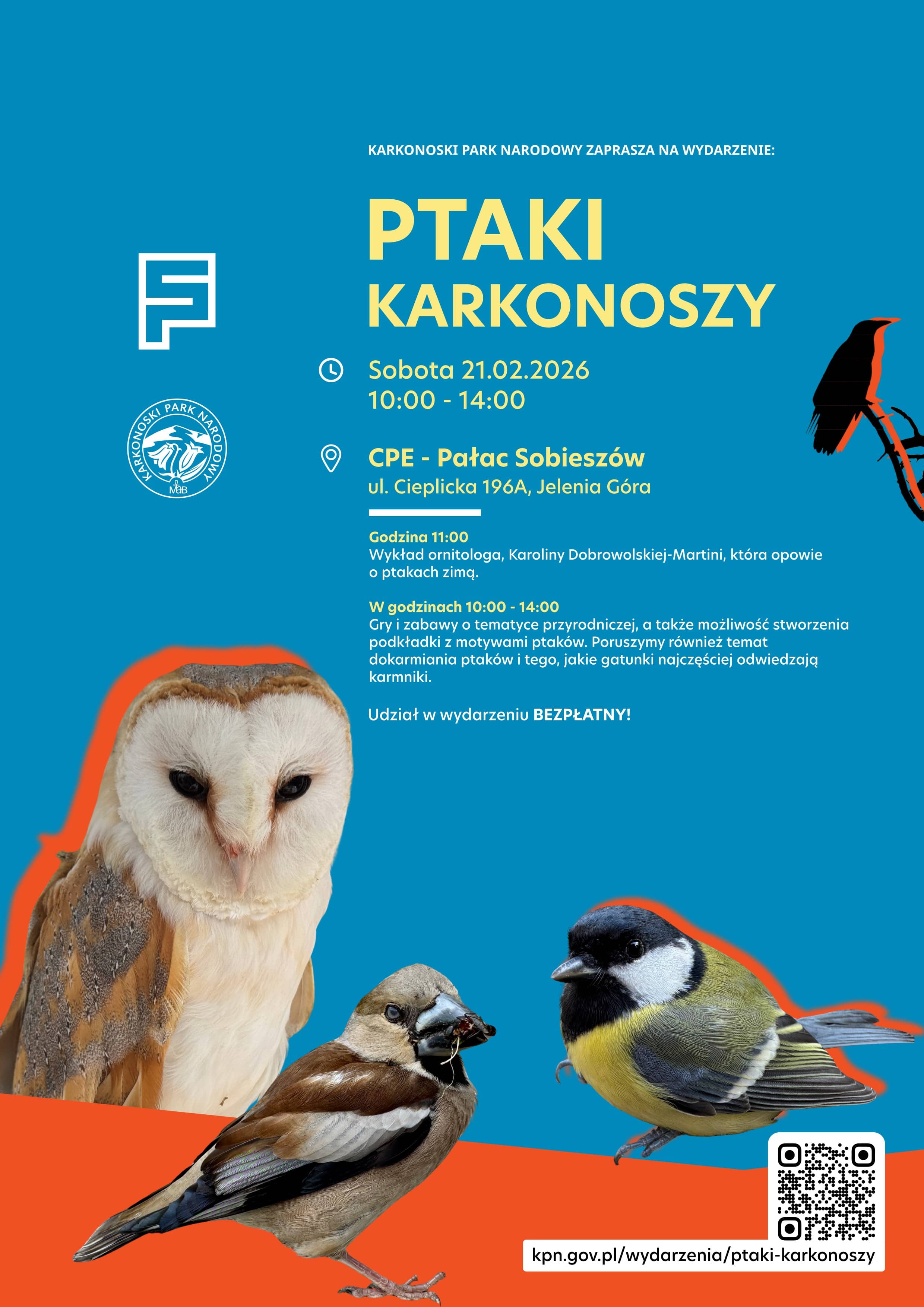 Czerwony gil i jego zimowi towarzysze – ptaki, które ożywiają śnieżny krajobraz