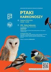 Czerwony gil i jego zimowi towarzysze – ptaki, które ożywiają śnieżny krajobraz