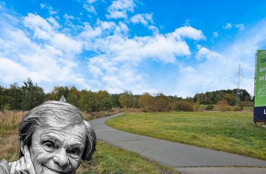 Krystyna Feldman, czyli popularna babcia Kiepska, patronką alejki