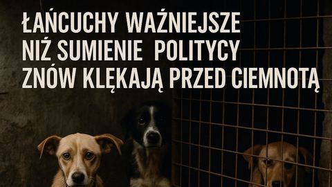 Łańcuchy ważniejsze niż sumienie. Politycy znów klękają przed ciemnotą!